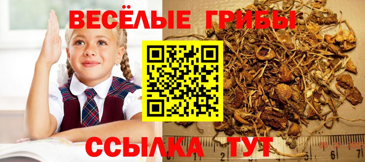 Псилоцибиновые грибы мухоморы  Вход с VPN  Воткинск 